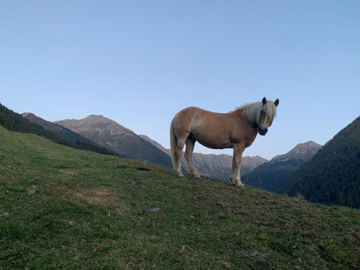 Chalet Leitn-anger